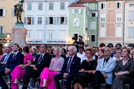 Dan drzˇavnosti, SIDDHARTA-3